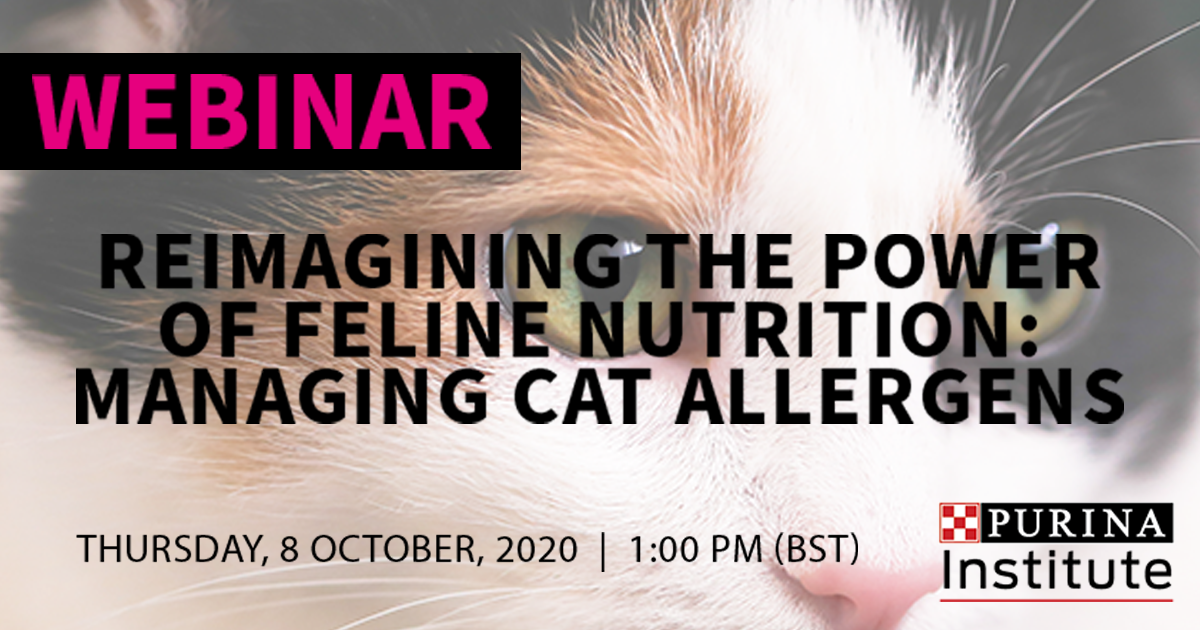 Free webinar recording – Reimagining the power of feline nutrition: managing cat allergens